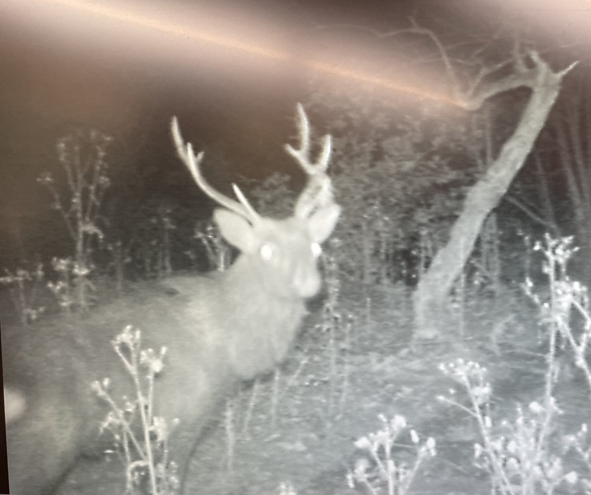 Hunting Camp（狩猟編）5期