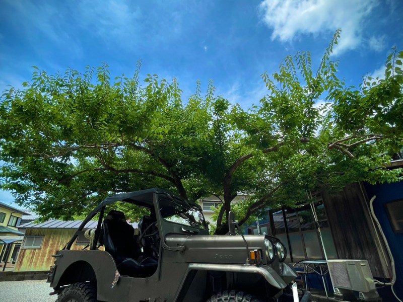 Hunting Camp 【狩猟編】4期　無事終了