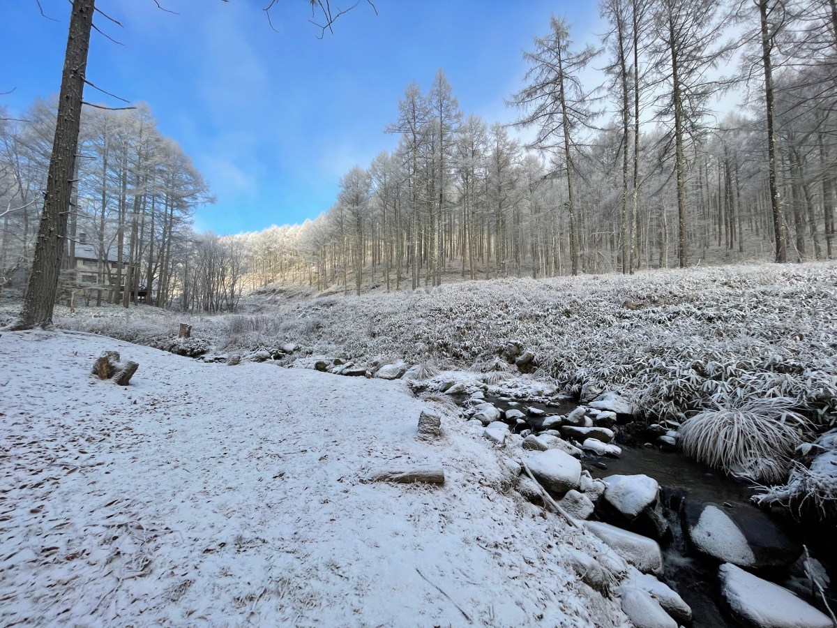 あけましておめでとうございます